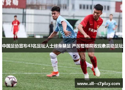 中国足协宣布43名足坛人士终身禁足 严厉整顿腐败现象震动足坛