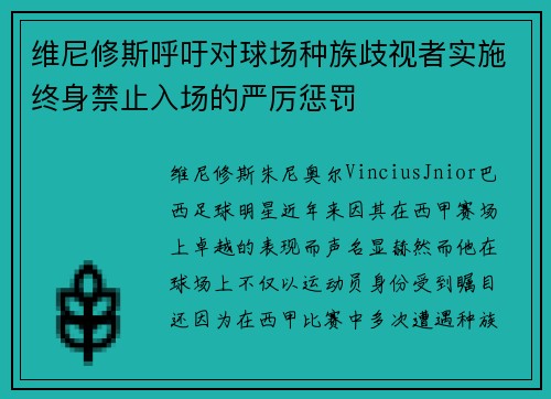 维尼修斯呼吁对球场种族歧视者实施终身禁止入场的严厉惩罚 维尼修斯呼吁对球场种族歧视者实施终身禁止入场的严厉惩罚